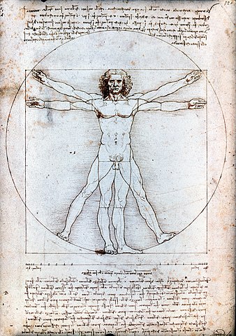 dessin de Léonard de Vinci qui représente un homme nu et les proportions de son corps.